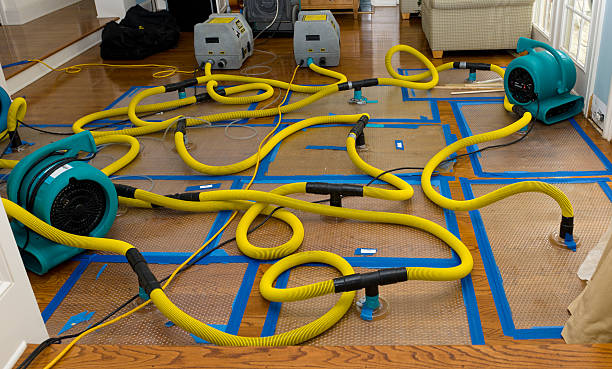 Professional Crawl Space Water Removal technician working in Artesia Wells, TX